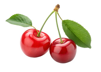 Two Ripe Red Cherries with Green Leaves and Stems on Black cherry fruit