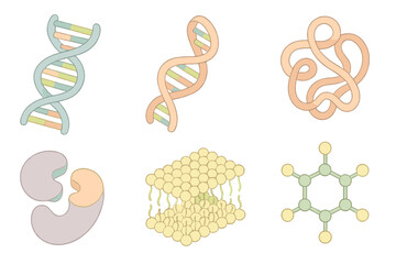 Biochemistry Molecules Icons. Isometric vector illustration set Biochemistry molecules: DNA double helix with bases, RNA strand