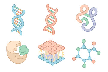Biochemistry Molecules Icons. Isometric vector illustration set Biochemistry molecules: DNA double helix with bases, RNA strand