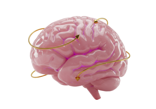 Pink brain with golden arrows isolated on transparent background, concept of neural connections and mental processes PNG