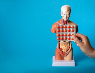 Blister with red pills on the background of the belly of a model of a person and a blue background. Concept of a pill for improving digestion and bloating. Pancreatic enzymes. Copy space for text