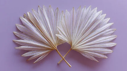 Fototapete Badezimmer Two pale, textured fan-shaped leaves crossed on a pastel purple background  © nur khayati w