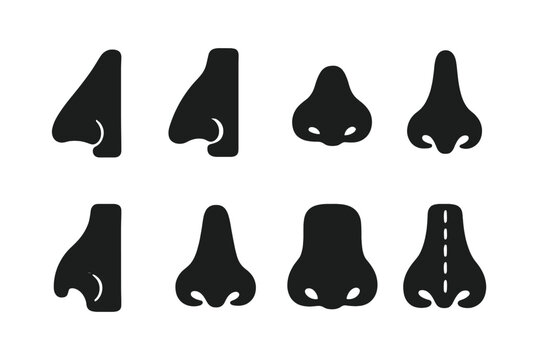 Nose Shapes Icons. Solid, filled icon set of nose shapes in cosmetic surgery: roman nose, aquiline nose, snub nose, upturned nose, crooked nose, narrow nose,
