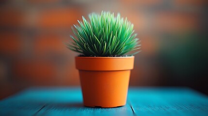 A DSLR close-up of a single potted plant with vibrant green leaves, sitting on a minimalist wooden shelf, with natural light gently highlighting the planta??s details