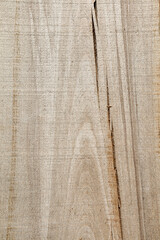 Natural wood texture. Cut wood plank. Cracked wood