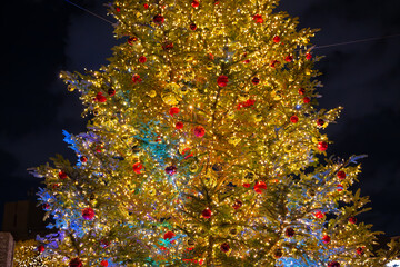 クリスマスツリー