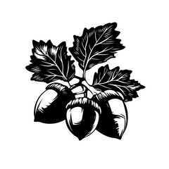 Vector oak branch with acorns nature plant silhouette illustration