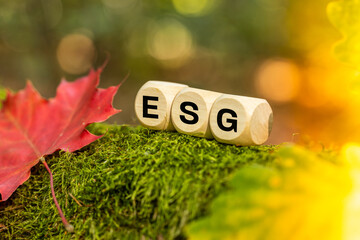 ESG  icon. Environmental, Social, Governance, Sustainable development of companies based on key ESG areas. Wooden blocks among the beautiful colors of autumn and the ESG symbol
