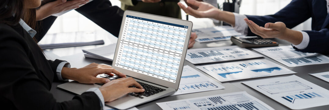 Accounting software on computer screen showing financial statement spreadsheets and account balance of corporate business offer accountant a fine calculation accounting brisk - Powered by Adobe