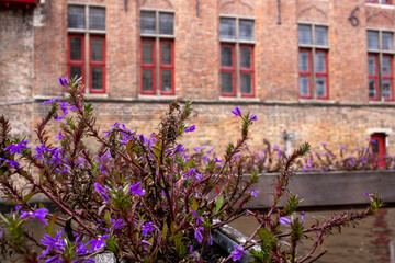 Bruges (Brugge), Belgium - October 17, 2022. Historical architecture on the streets of Bruges, Belgium. Cityscape of Bruges.