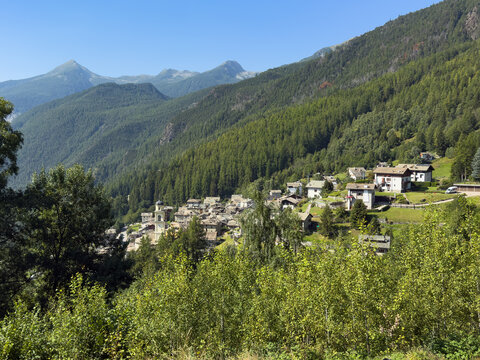 View of the village of Primolo in Valmalenco from the pine forest lookout.