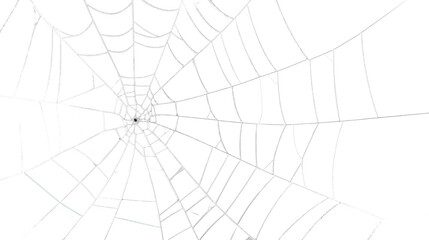 Obraz premium Minimalist spider web isolated on transparent background, clean geometric cobweb design, natural insect net structure, delicate silk pattern for decoration and seasonal concept.