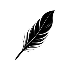 Fototapeta premium feather on white background