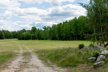 Dirt road leading to a meadow surrounded by forest under cloudy sky