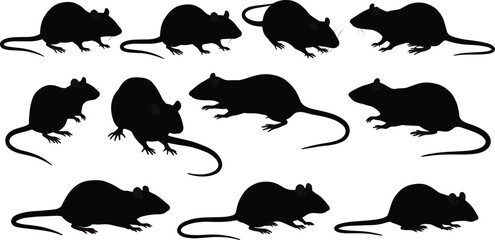 Black Rat Silhouettes in Various Poses, Vector Illustration for Animal Behavior, Biology, and Graphic Design