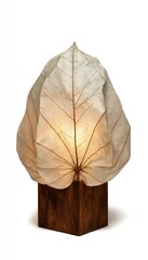 A light-filled, organic table lamp crafted from a dried leaf, showcasing a warm, ethereal glow.