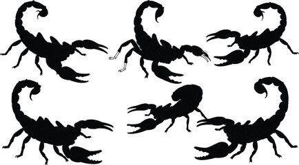 Scorpion silhouette set, dangerous insect vector collection, black scorpions illustration, poisonous arachnid design, desert wildlife, horror Halloween icon