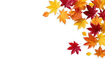 Beautiful autumn leaves in vibrant red, yellow, and orange colors creating a scenic outdoor landscape with colorful foliage and natural seasonal scenery