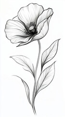 Fototapeta premium sketch of a flower.eps