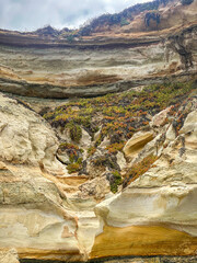 Sandstone cliffs with moss growing