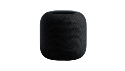 Black, rounded speaker, front view