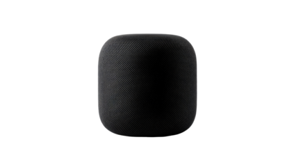 Dark gray, oval-shaped speaker
