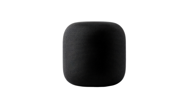 Dark gray, oval-shaped speaker