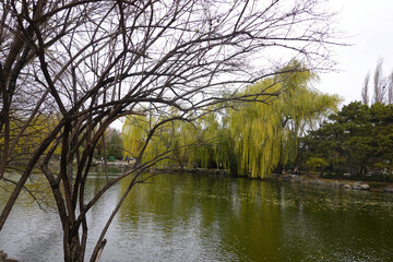 Scenery of the peaceful lake in Autumn