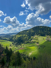 Obraz premium Beautiful view of a lush green valley and forested hills under a dramatic sky filled with fluffy clouds, capturing the serenity and freshness of spring in the mountains.