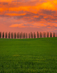 Obraz premium Early morning on countryside, Tuscany landscape in spring fields green meadows, Tuscany, Italy.
