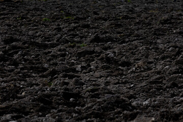 Dried Soil Texture Featuring Sparse Vegetation in a Challenging Environment with Limited Resources