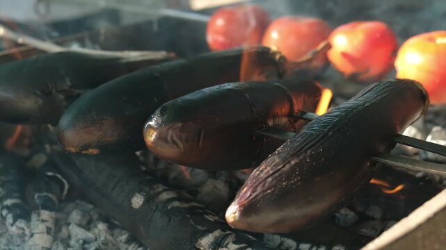 Multiple whole eggplants and tomatoes skewered and grilling over open flame in a mangal outdoors. Traditional vegetable grilling in the Middle East and Western Asia. Slow movement of fire.