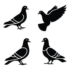 Silhouette collection of four pigeon poses static flight and landing natural bird forms for design silhouette
