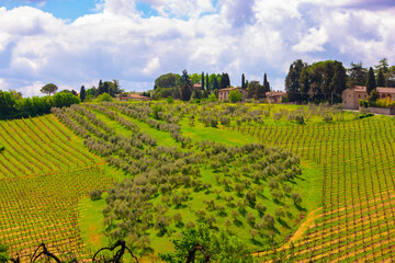 Naklejka premium San Gimignano, province of Siena. Tuscany, Italy.