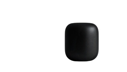 Black, smooth, oblong object