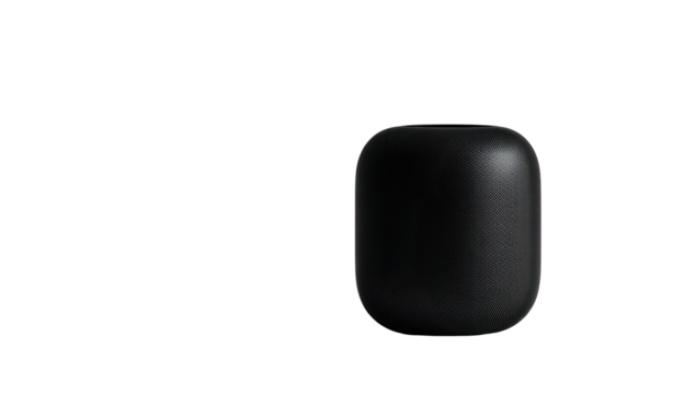 Black, smooth, oblong object