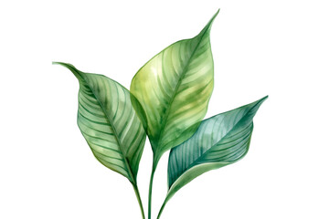 Elegant green foliage design element for stylish invitations and nature inspired branding, perfect for botanical themes and fresh, organic concepts