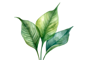 Elegant green foliage design element for stylish invitations and nature inspired branding, perfect for botanical themes and fresh, organic concepts