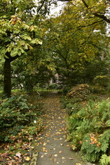 Végétation luxuriante en automne au Jardin Botanique d'Anvers (Antwerpen) 