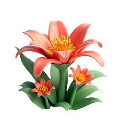 Orange lily flower blossom isolated on transparent background