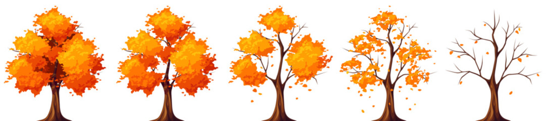 Autumn deciduous trees isolated on a white background. Trees with falling leaves and a bare tree. Set of vector illustrations