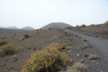 Vulkanlandschaft auf Lanzarote © Fotolyse