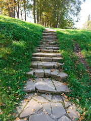 A stone staircase with leaves on the ground.