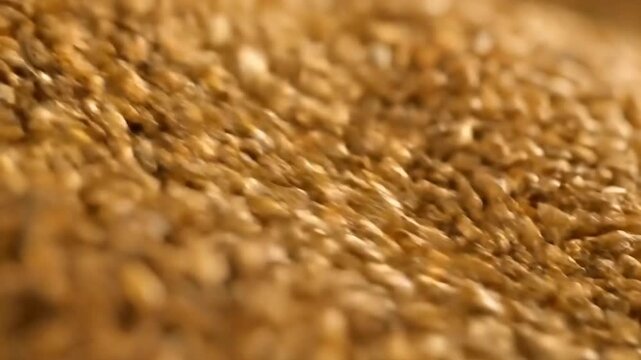 Flowing Grain Seeds in Harvesting Process with Golden Hue Detailed Texture and Organic Farming Aesthetic, Used for Agricultural Presentations or Milling Industry Visuals Close Up View