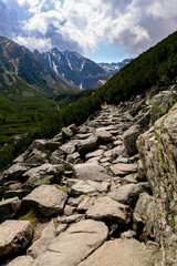 góry, trasa,ścieżka, kamienie, las, widoki, krajobraz,szczyt, choinki, zieleń, wyzwanie, zakopane,wspinaczka