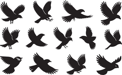 Silhouette of Birds in Flight