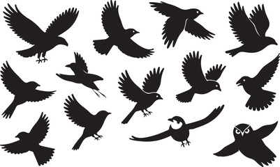 Silhouette of Birds in Flight
