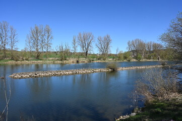 Main bei Homburg am Main