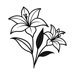 Elegant black and white lily flower illustration vector art scalable graphic design