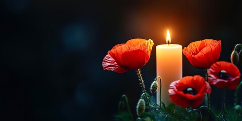 Candle remembrance day poppies tribute soldier patriotic